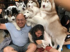 -TrueLove @ Neverland (Husky Cafe)