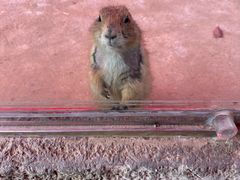 -杭州野生动物世界