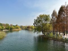 -洋湖国家湿地公园
