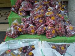 -百果园(奕淳公寓店)