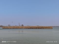 -盐城丹顶鹤湿地生态旅游区