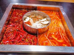 -蜀江龙火锅(339店)