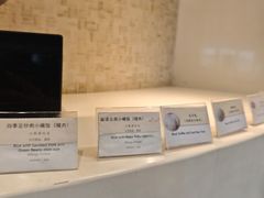 -虹桥机场国航贵宾室v8