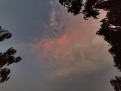 -泽舞·国际流行舞