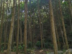-驼梁风景区
