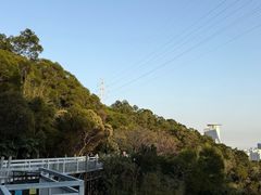 -仙岳公园