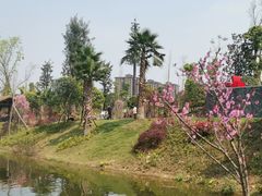 -枫香湖儿童公园