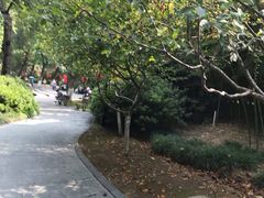 -常州古运河南大街文化旅游区-人民公园