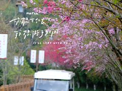 -杭州半山国家森林公园