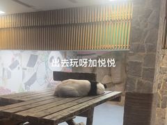 -无锡动物园·太湖欢乐园