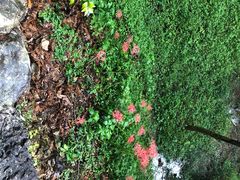 -雁荡山雁湖景区