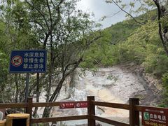 -霸王岭国家森林公园