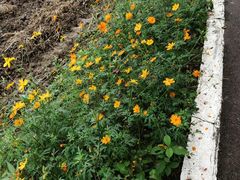 -桤木河湿地公园