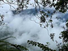 -青城山