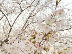 -苏州上方山国家森林公园