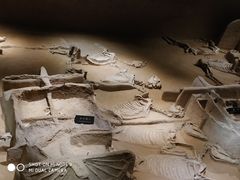 -洛阳周王城天子驾六博物馆