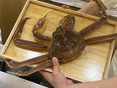 -松临·铁板烧&Omakase(神农店)