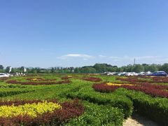 -北京拉斐特城堡酒店