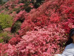 -木兰云雾山