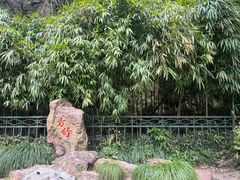 -杭州黄龙洞
