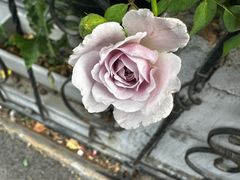 -五道营胡同