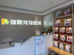 -瑞鹏宠物医院•异宠•宠保定点•流浪定点救助宠物医院(青祁店)
