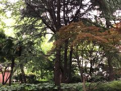 -华山儿童公园
