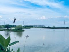 -宁波杭州湾国家湿地公园