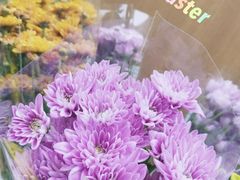 -鹿岛会员店 (龙湖三千集天街店)