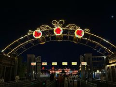 -武汉知音号