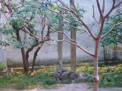-拙政园