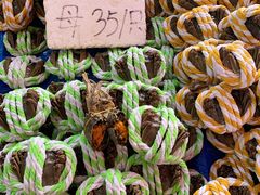 -南沙十九涌渔人码头-南门