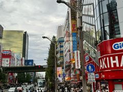 -秋叶原电器街