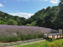 -云峰山自然风景区