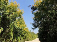 -龙口南山旅游景区