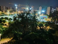 -飞凤山奥体公园