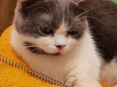 -宝大祥青少年儿童购物中心(南京东路店)