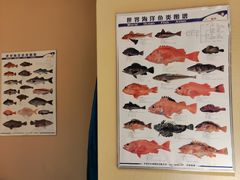 -镹·鱼料理  国产鱼使用店