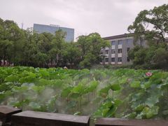 -四川大学(望江校区)