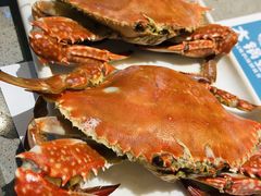 -大锅强·蒸海鲜青岛菜(吾悦广场店)