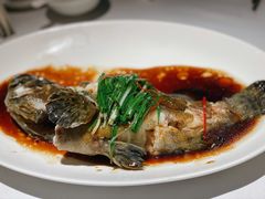 -粤界(望京金辉店)