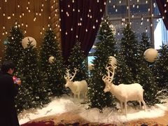 十六浦索菲特大酒店-澳门十六浦索菲特大酒店