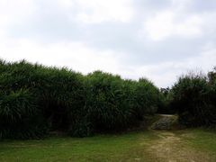 -鹅銮鼻公园