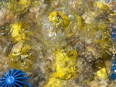 -炉队长·齐齐哈尔家庭烤肉(马家堡店)