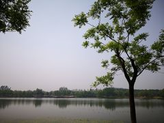 -东郊湿地公园