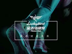 -金吉鸟健身游泳