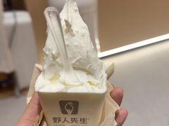 -野人先生现做冰淇淋(贵阳万象汇店)