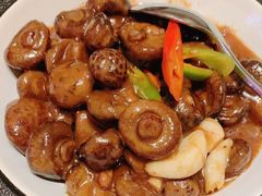 油焖潮州揭阳子菇-潮上潮(南中环店)