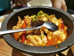 黑松露牛肝菌焖牛蛙-云海肴·汽锅鸡·云南菜(美罗城店)