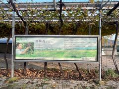 -白鹿原葡萄主题公园